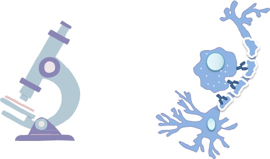 Молекулярна та клітинна нейрофізіологія | LifeSciencesCourse